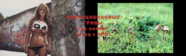 тгк Дмитров
