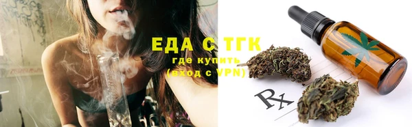 тгк Дмитров