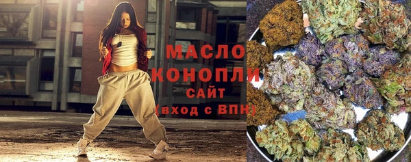 тгк Дмитров