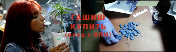 тгк Дмитров