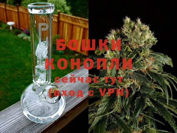 тгк Дмитров