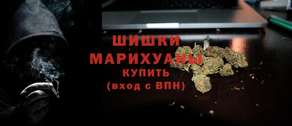 тгк Дмитров