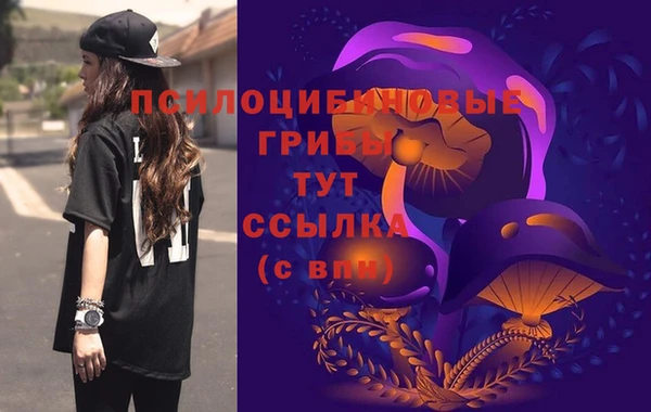 СК Дмитриев