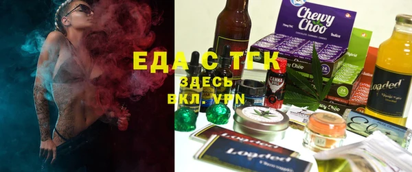 тгк Дмитров