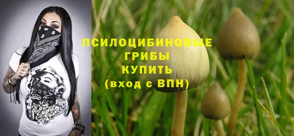 тгк Дмитров