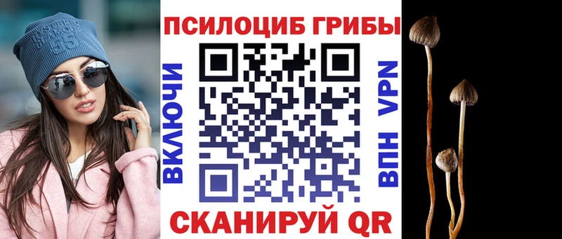 Галлюциногенные грибы GOLDEN TEACHER  закладка  Альметьевск 